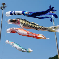 Bandeira Koinobori Tradicional Japonesa - 55cm Carpa Azul