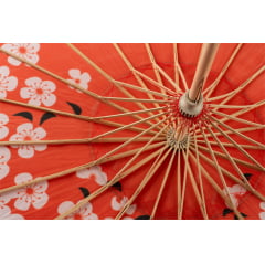 Sombrinha Oriental Vermelha Sakura Estampada - 83 cm x 54 cm 